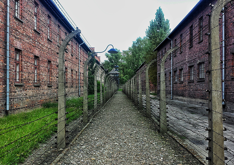 アウシュビッツの強制収容所で最も早く亡くなった人の共通点をご存知ですか